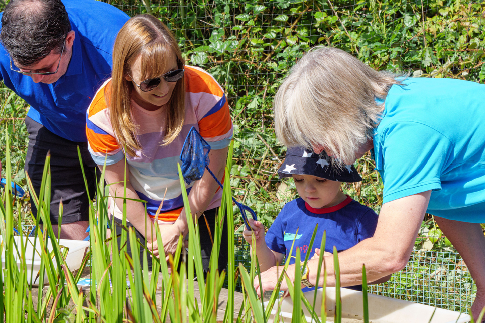 View: Pond dipping